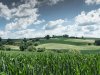 _MG_0977-1_stitch-1