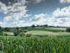 _MG_0977-1_stitch-1