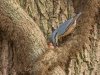 Robert_Mueller-7