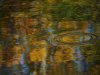 S_Heide_Spiegelung-1