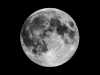 B_Vollmond_Jan-Wilhelm