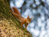 renate_RubelMueller-3