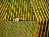 S_renate_RubelMueller-10