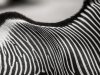 S_renate_RubelMueller-5