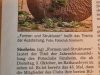 Ankündigung in der Presse