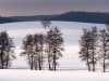 Winter-004