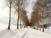 Winter-007